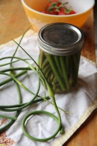 Garlic Scapes on the Homestead: How to Cook, Pickle and Grow Them Image